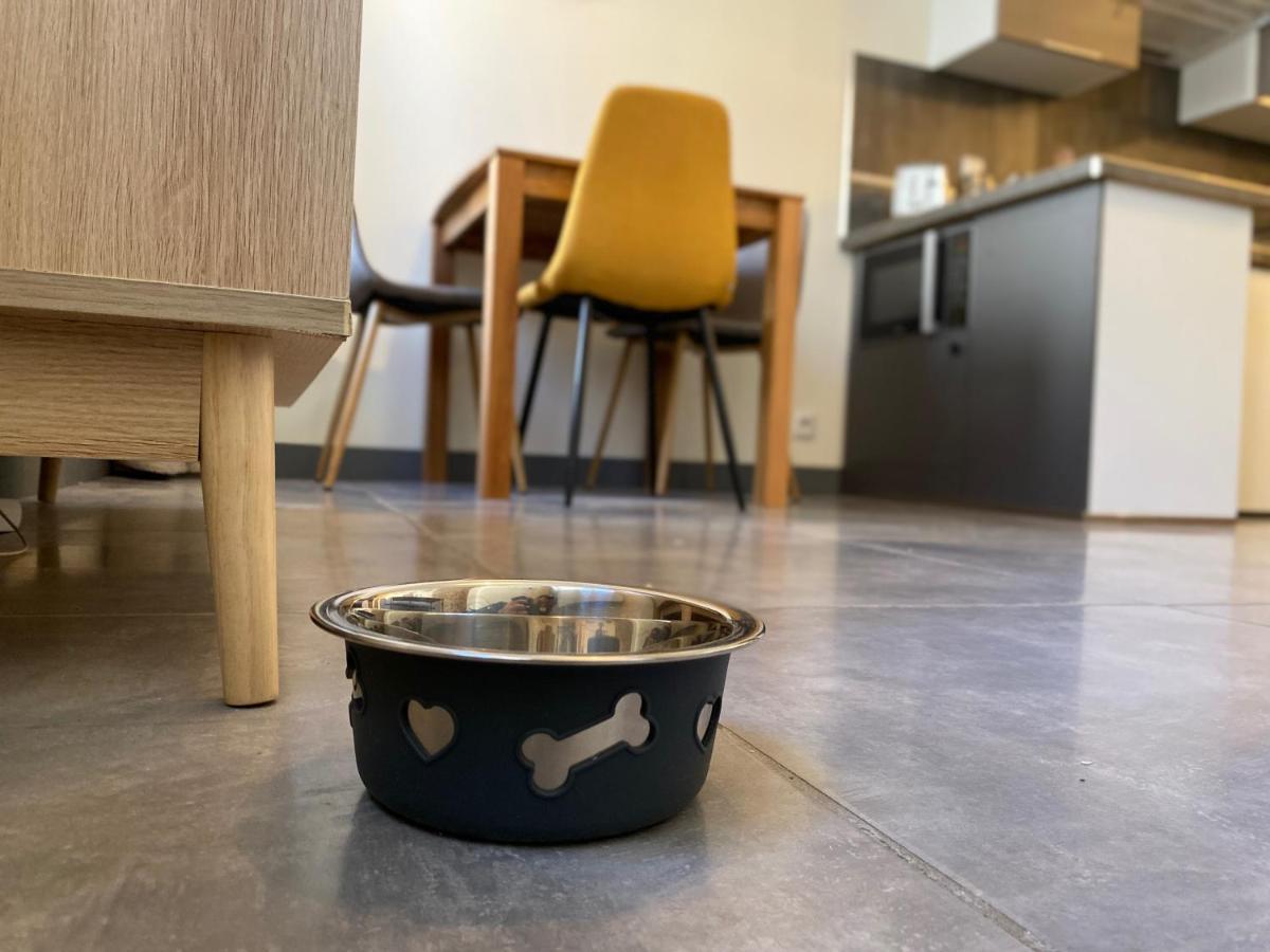 Exceptionnel ! Superbe Appartement Refait A Neuf En Rez-De-Chaussee Avec Parking Prive Castres  Esterno foto